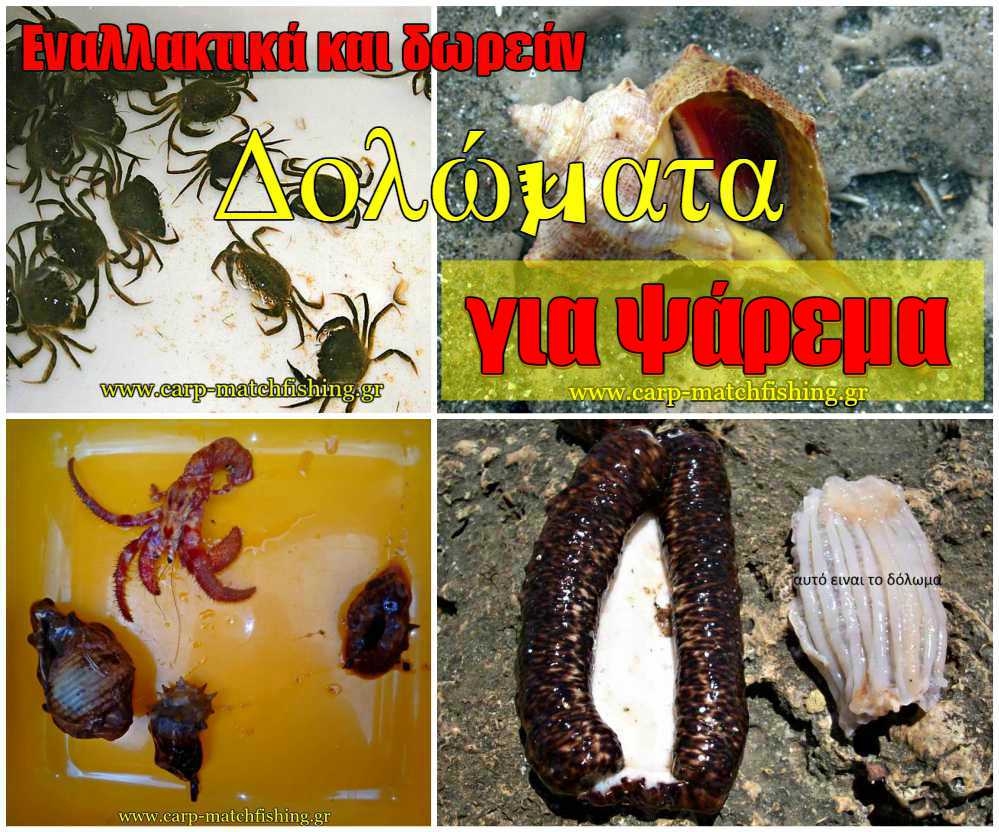Εναλλακτικά και δωρεάν δολώματα για το ψάρεμα!