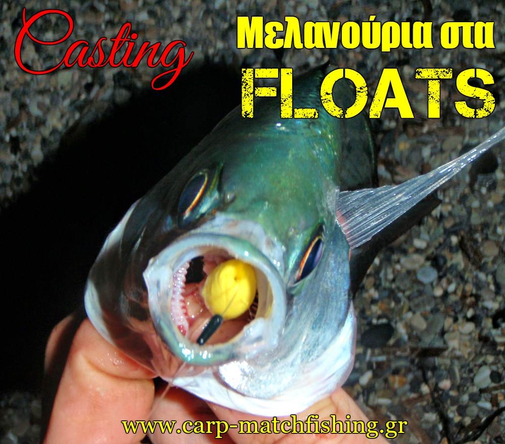 Μελανούρια στα floats!