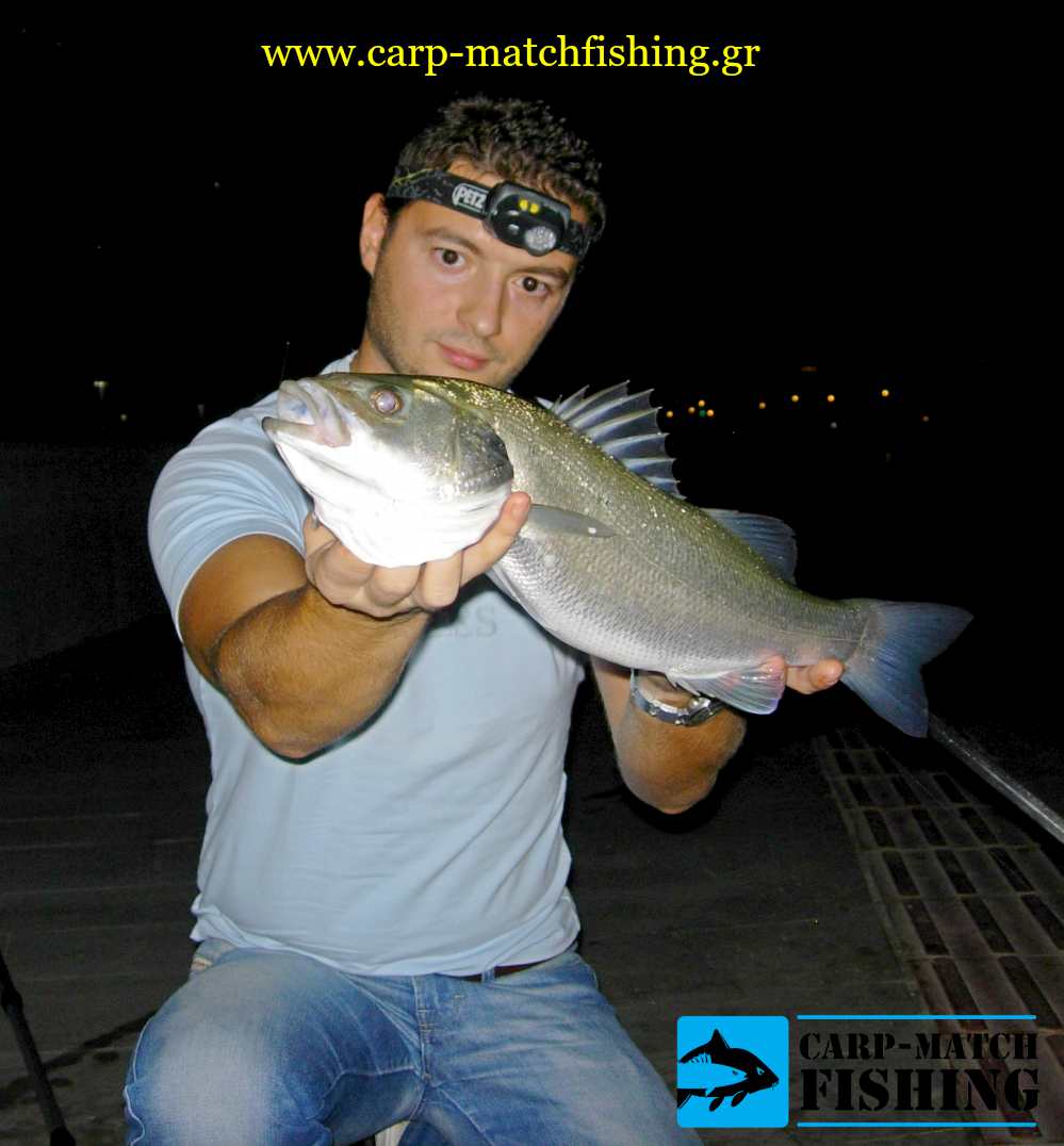lavraki zontani garida match sfaltos carpmatchfishing