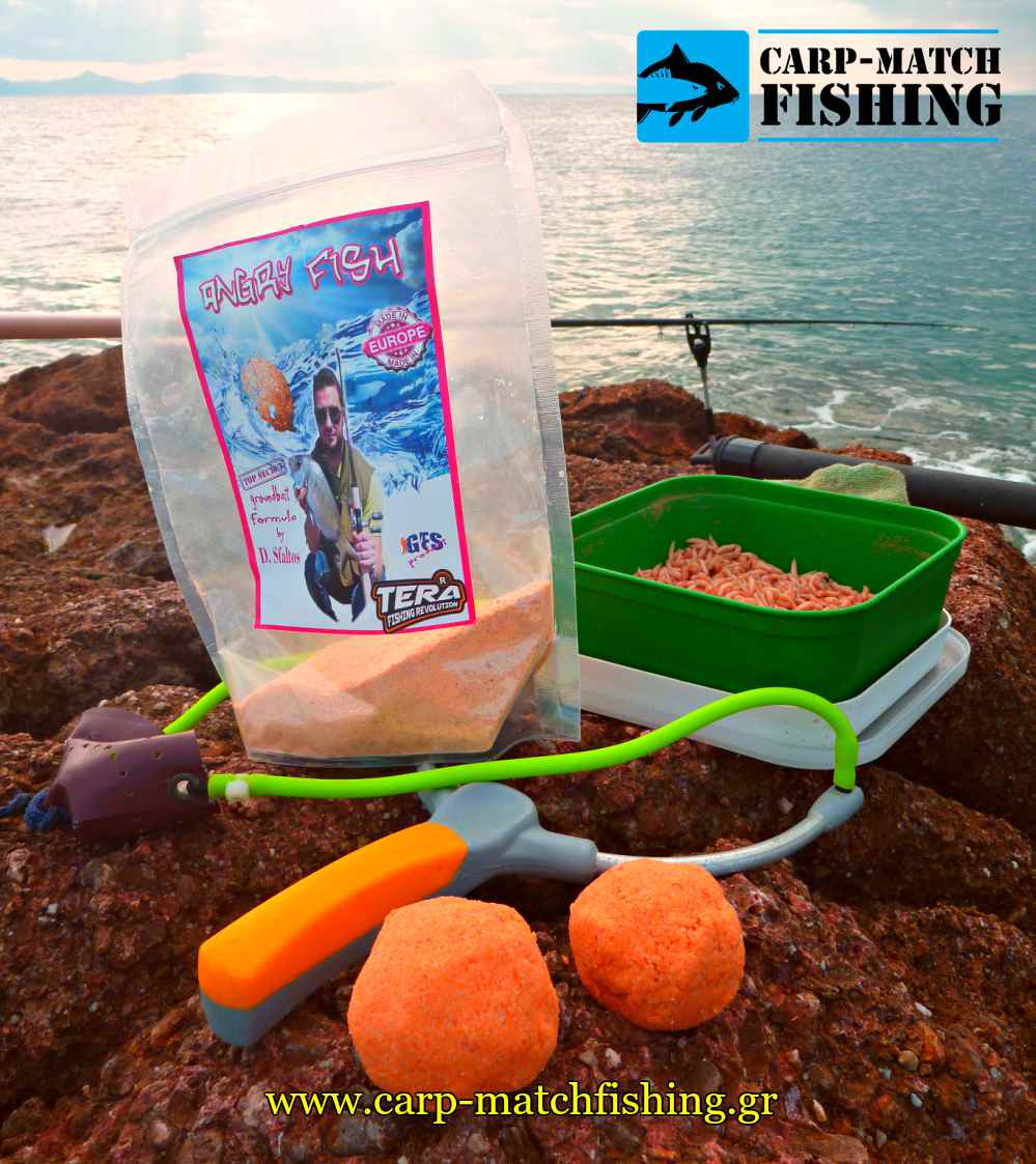 angry fish sargos malagra match carpmatchfishing psarema