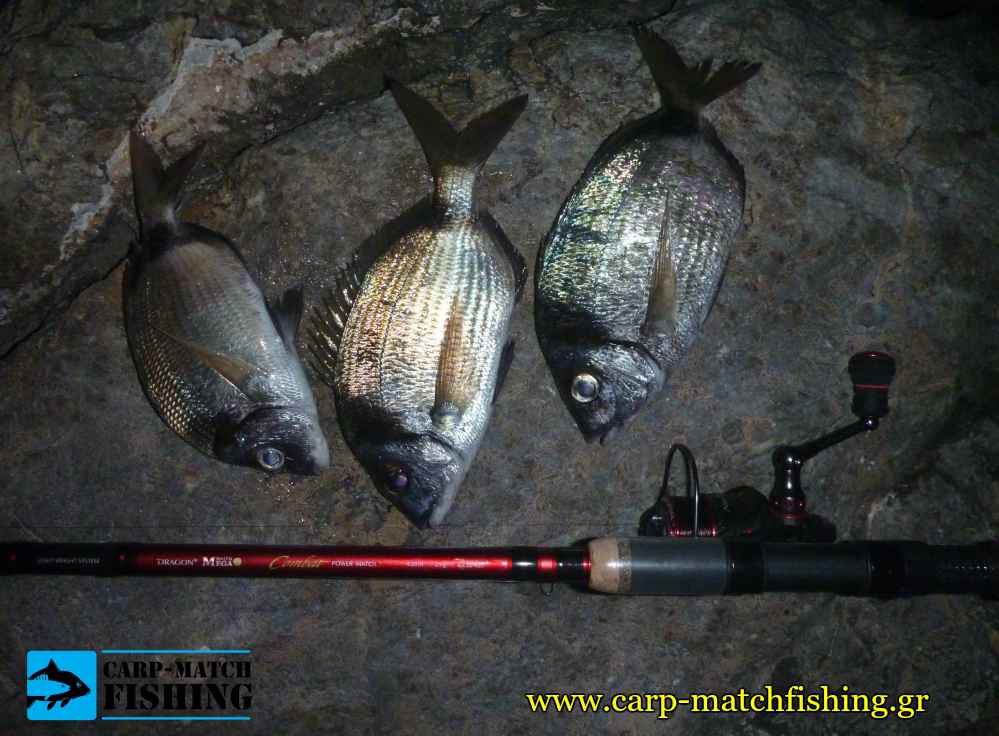 aylias kakarelos matchfishing 3 carpmatchfishing