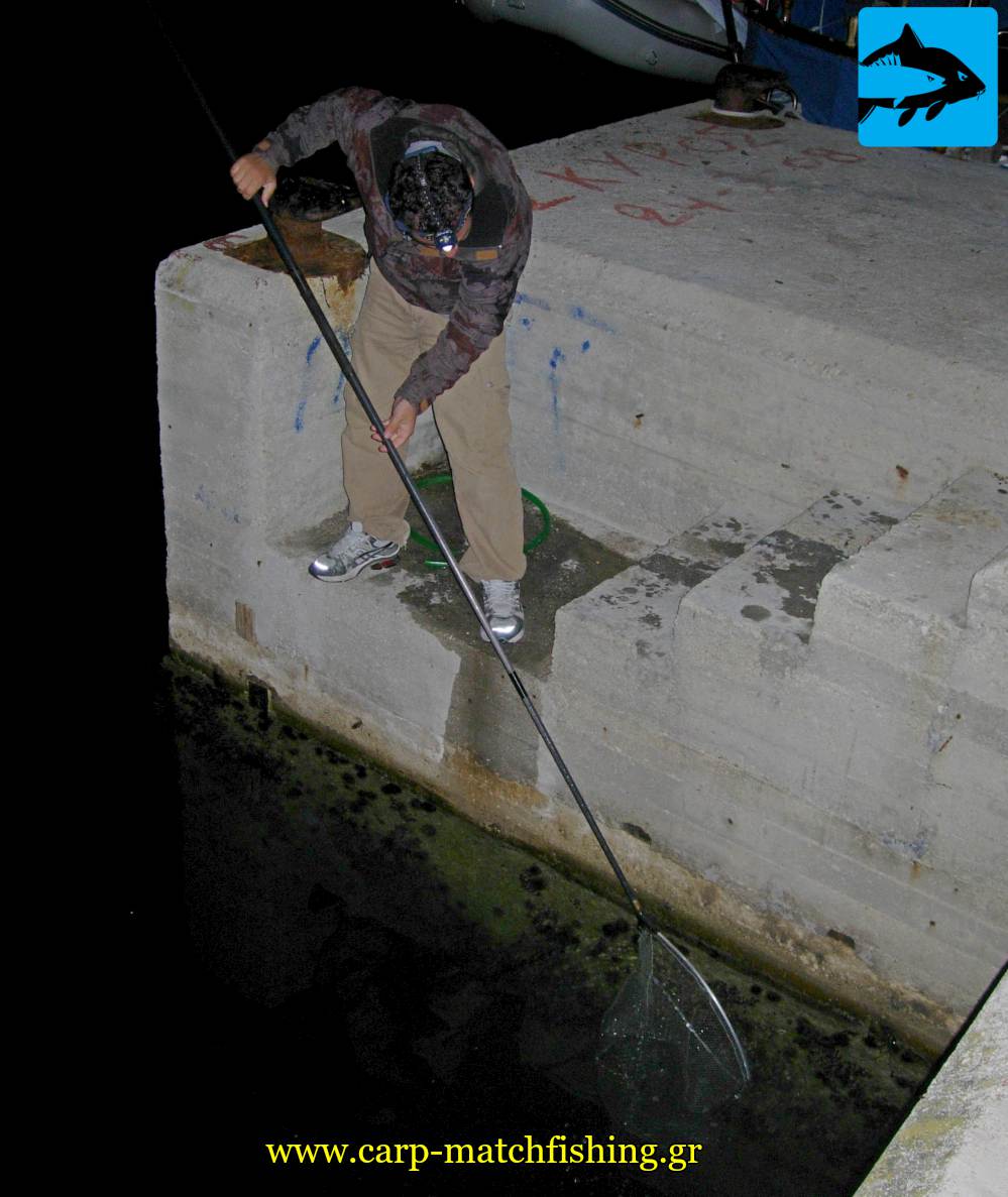 mazema zontanis garidas matchfishing carpmatchfishing