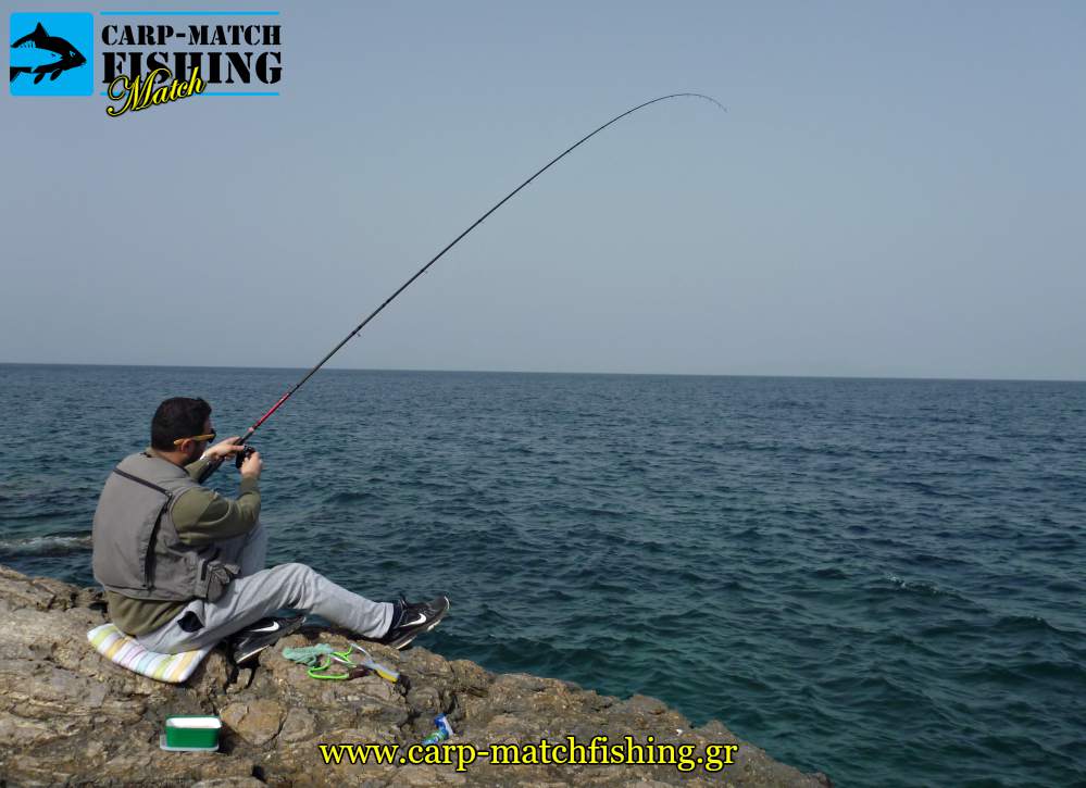 match rod fishing carpmatchfishing psarema sargou