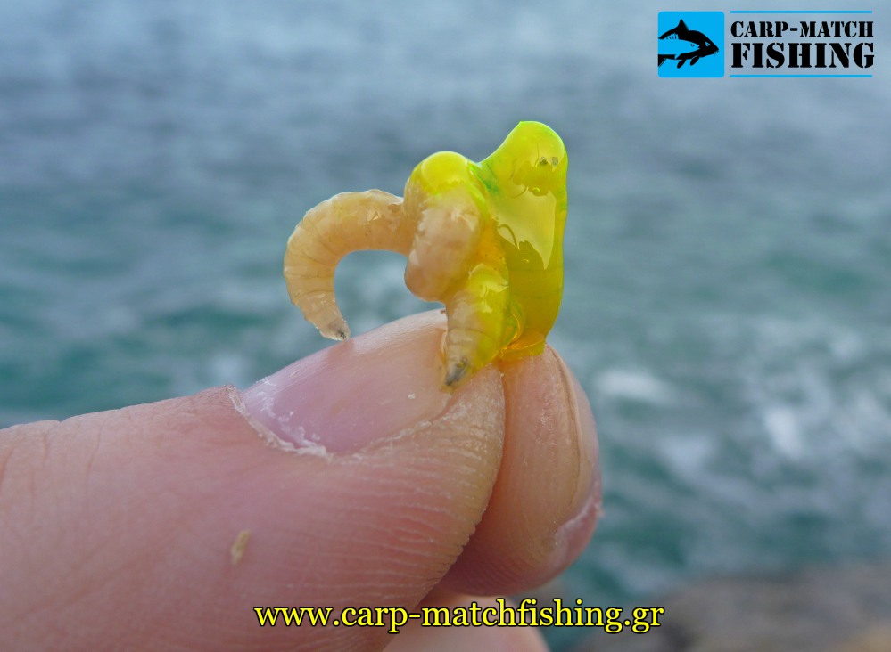 bigattino pronimfi migas terabite carpmatchfishing