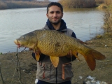 orestis