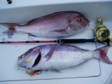 Jigging